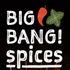 BIG BANG! Spices